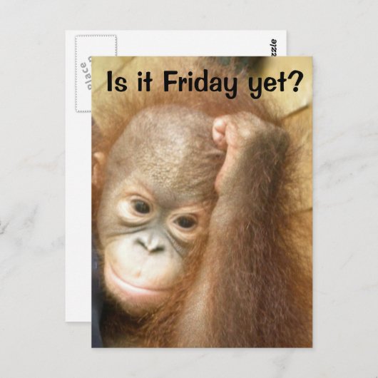 金曜日 ポストカード (正面/裏面)