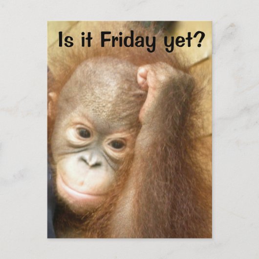 金曜日 ポストカード (正面)