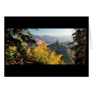 金樺の木が付いているグランドキャニオン