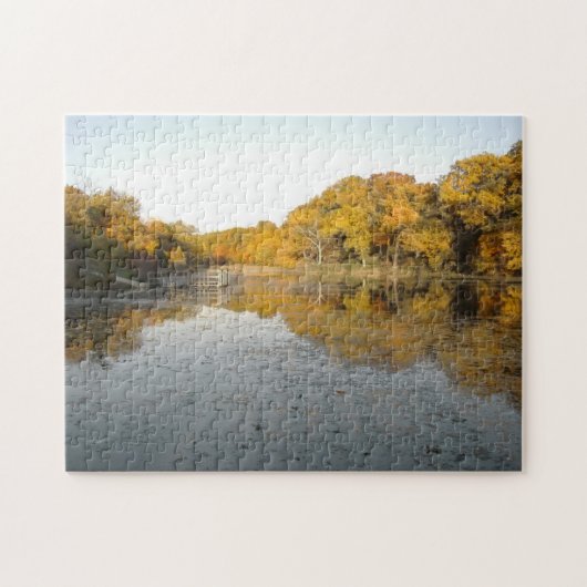 金池11のx 14インチの静まる挑戦パズル ジグソーパズル (横)