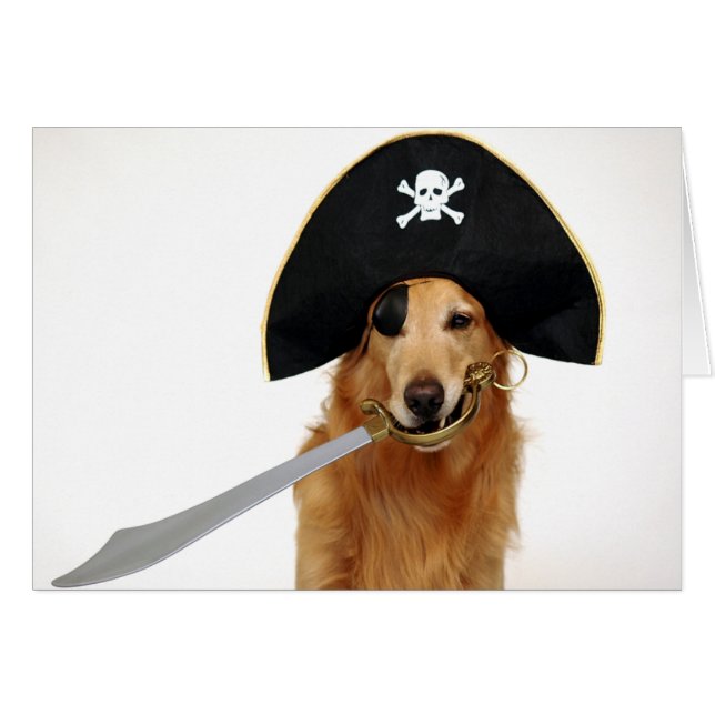 金海賊 (正面横)