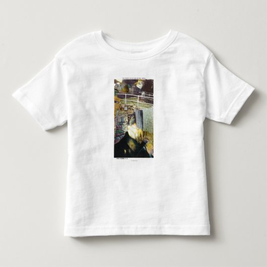 金滝および自然な橋眺め トドラーTシャツ (正面)