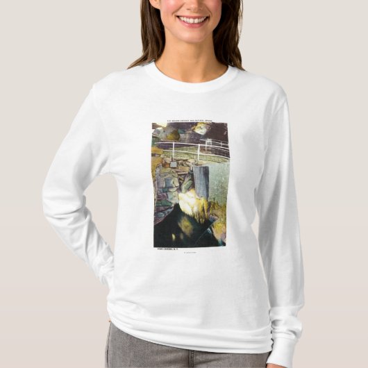 金滝および自然な橋眺め Tシャツ (正面)