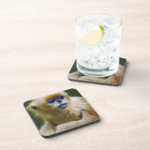 金猿 コースター (右側)