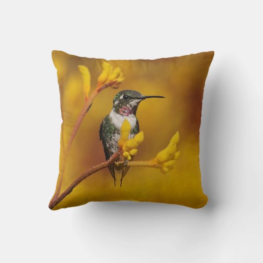 金白熱装飾用クッション クッション (裏面)