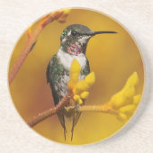 金白熱 コースター (正面)