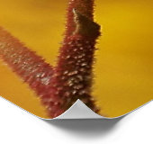 金白熱 ポスター (角)