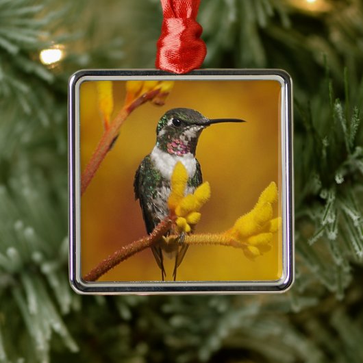 金白熱 メタルオーナメント (ツリー)