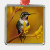 金白熱 メタルオーナメント (正面)