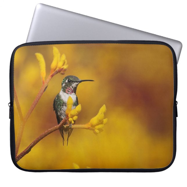 金白熱 ラップトップスリーブ (正面)