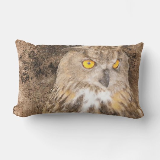 金目のワシミミズク ランバークッション (正面)