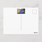 金箔のワスレナグサの花 ポストカード (裏面)