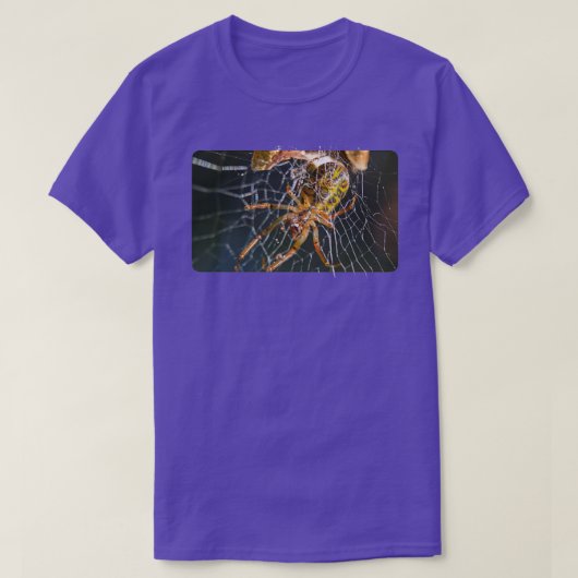 金箔カーリングスパイダー Tシャツ (デザイン正面)