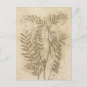 金箔 ポストカード (正面)