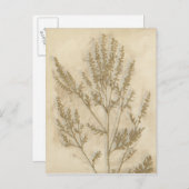 金箔II ポストカード (正面/裏面)