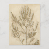 金箔II ポストカード (正面)