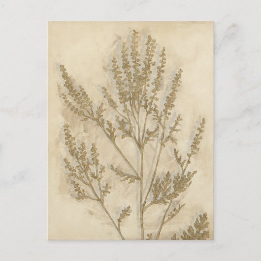 金箔II ポストカード (正面)