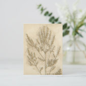 金箔II ポストカード (スタンド正面)