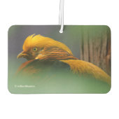 金素晴らしのキジの活字プロフィール カーエアーフレッシュナー (裏面)