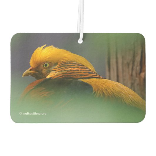 金素晴らしのキジの活字プロフィール カーエアーフレッシュナー (裏面)