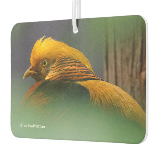 金素晴らしのキジの活字プロフィール カーエアーフレッシュナー (左)