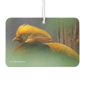 金素晴らしのキジの活字プロフィール カーエアーフレッシュナー (正面)