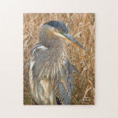 金素晴らしの葦の畑の青いヘロン ジグソーパズル (縦)