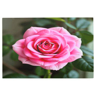 「金素晴らし属のウォールアートエレガント宇宙!」 メタルプリント