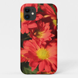 金色とオレンジ色のダイジーの花 iPhone 11 ケース