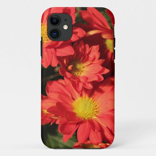 金色とオレンジ色のダイジーの花 Case-Mate iPhoneケース (裏面)