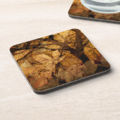 金色と茶色の葉|メリットアイランド， FL コースター (左側)