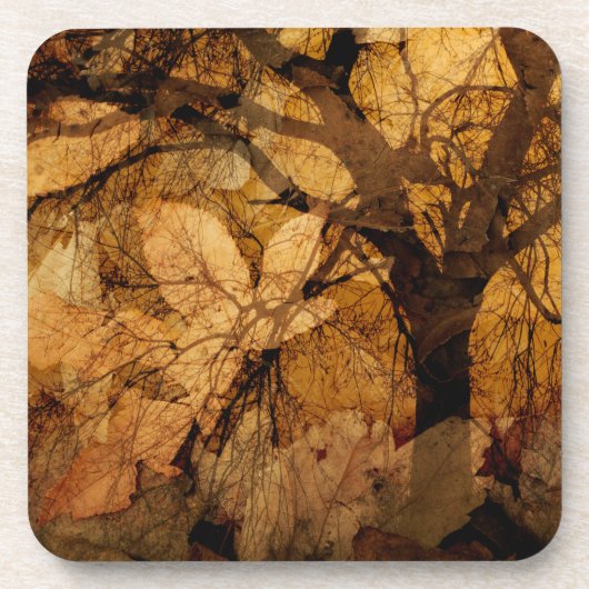 金色と茶色の葉|メリットアイランド， FL コースター (正面)