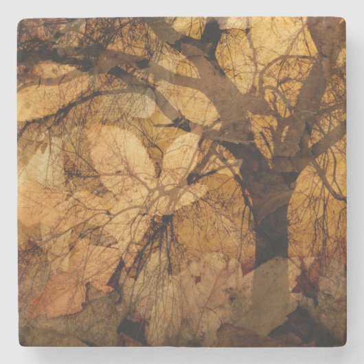 金色と茶色の葉|メリットアイランド， FL ストーンコースター (正面)