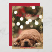 金色のスノーフレークのフレームとメリークリスマス シーズンカード (正面/裏面)