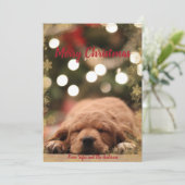 金色のスノーフレークのフレームとメリークリスマス シーズンカード (スタンド正面)