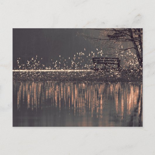 金色の光のはがきに湖のそばのベンチ ポストカード (正面)