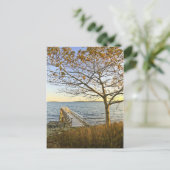 金色の光を浴びる ポストカード (スタンド正面)