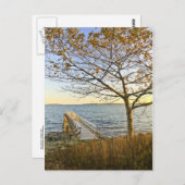 金色の光を浴びる ポストカード (正面/裏面)