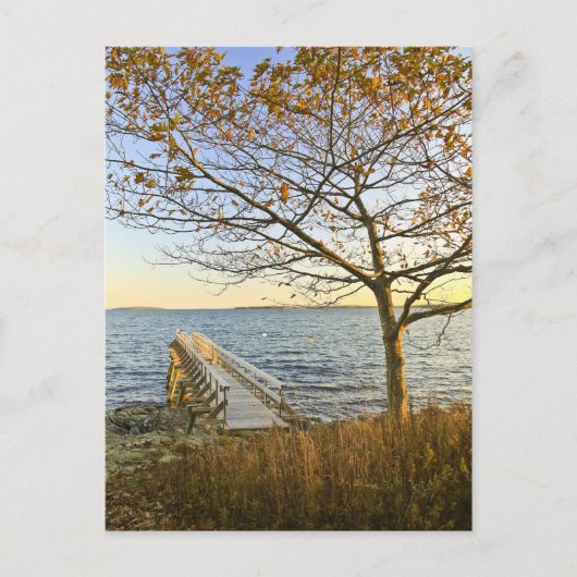 金色の光を浴びる ポストカード (正面)