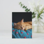 金色の球と眠るジンジャー子猫 ポストカード (スタンド正面)