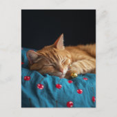 金色の球と眠るジンジャー子猫 ポストカード (正面)