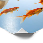 金色の魚とサメ フォトプリント            (角)