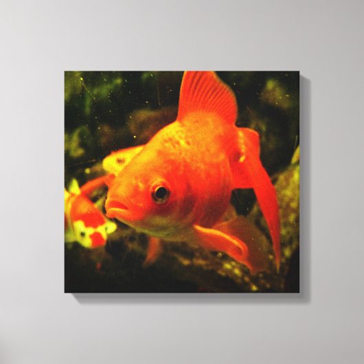 金色の魚 キャンバスプリント (正面)
