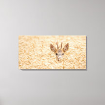 金色の麦畑に佇むノロジカの雄 野生動物アート
