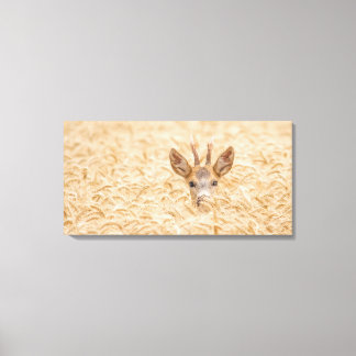 金色の麦畑に佇むノロジカの雄 野生動物アート キャンバスプリント