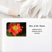 金色、オレンジ色のデイジー花。 ラベル (インサイチュ)