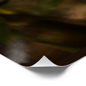 金花と蝶 ポスター (コーナー)