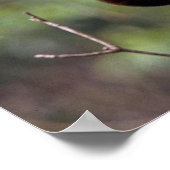 金花条 ポスター (角)