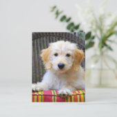 金落書きの子犬 ポストカード (スタンド正面)