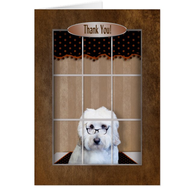 -金落書き-窓ありがとう (正面)